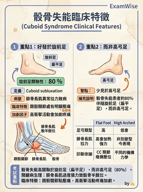 物治 - 足部病變與輔具評估 - AI 圖文解析預覽