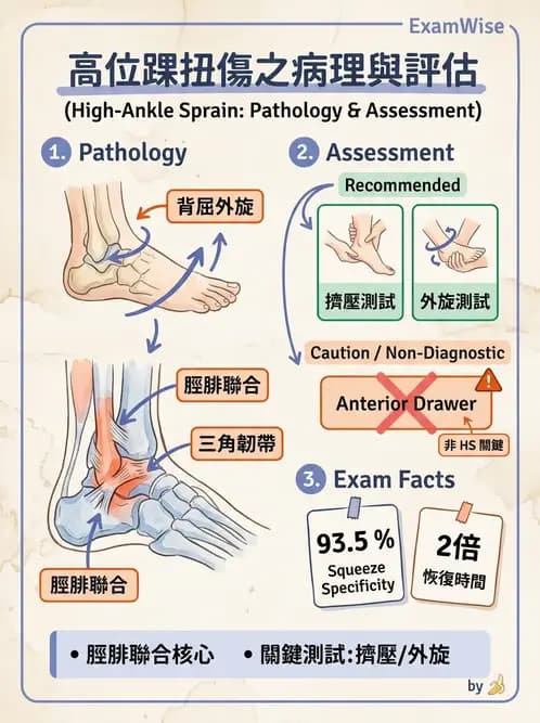 物治 - 踝關節損傷與復健 - AI 圖文解析預覽