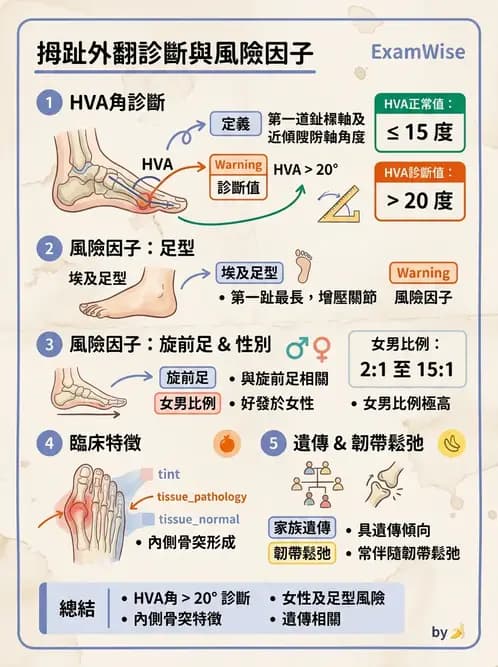 物治 - 足部病變與輔具評估 - AI 圖文解析預覽