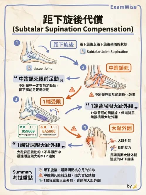 物治 - 足部病變與輔具評估 - AI 圖文解析預覽