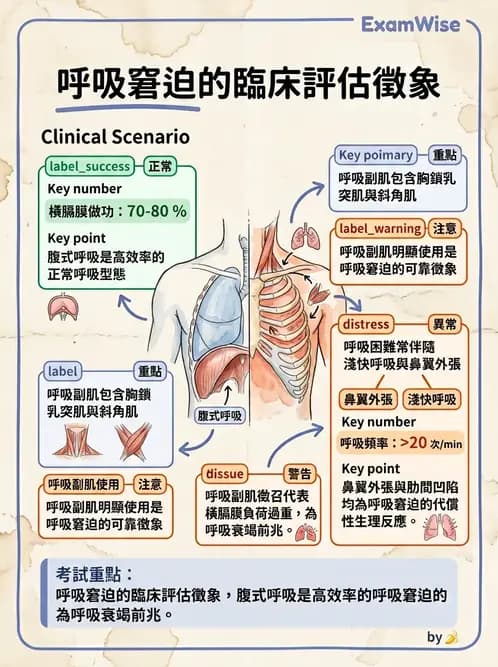 物治 - 呼吸臨床評估技術 - AI 圖文解析預覽