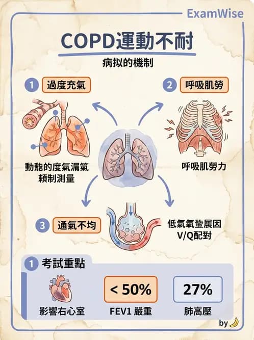 物治 - 阻塞性肺疾病物理治療 - AI 圖文解析預覽
