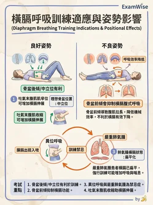 物治 - 氣道廓清與呼吸訓練技術 - AI 圖文解析預覽
