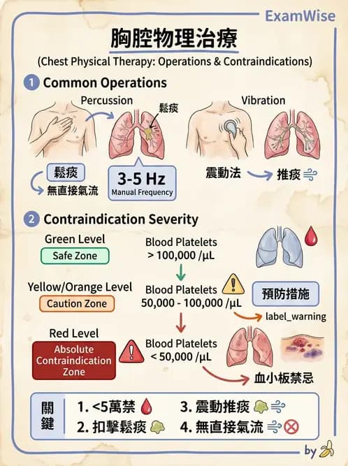 物治 - 氣道廓清與呼吸訓練技術 - AI 圖文解析預覽