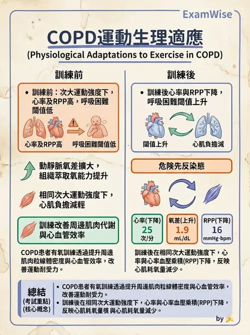 物治 - 阻塞性肺疾病物理治療 - AI 圖文解析預覽