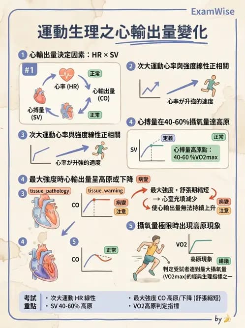 物治 - 運動生理學與能量代謝 - AI 圖文解析預覽