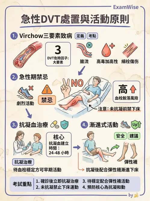 物治 - 心臟藥物、輔助裝置與周邊血管 - AI 圖文解析預覽