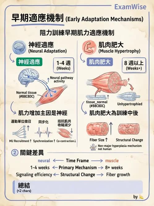 物治 - 運動生理學與能量代謝 - AI 圖文解析預覽