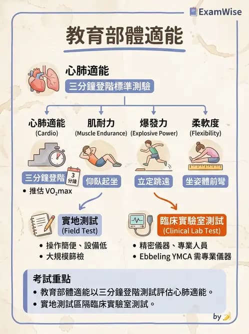物治 - 體適能評估與運動測試 - AI 圖文解析預覽
