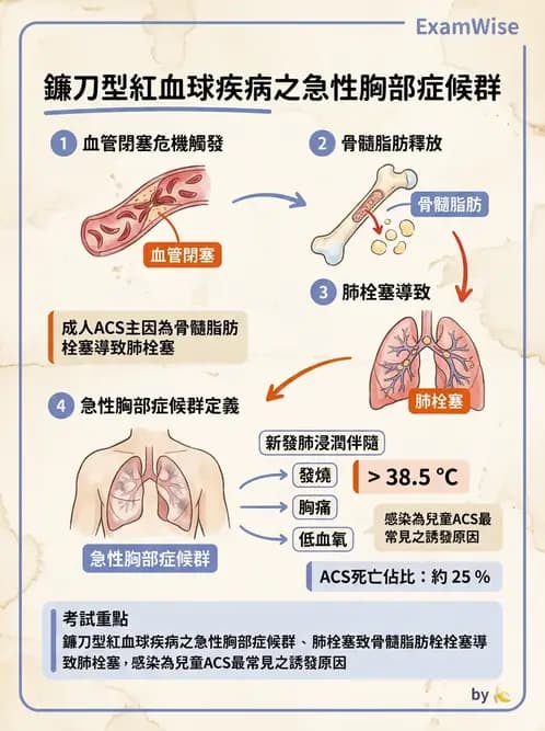 物治 - 呼吸臨床評估技術 - AI 圖文解析預覽