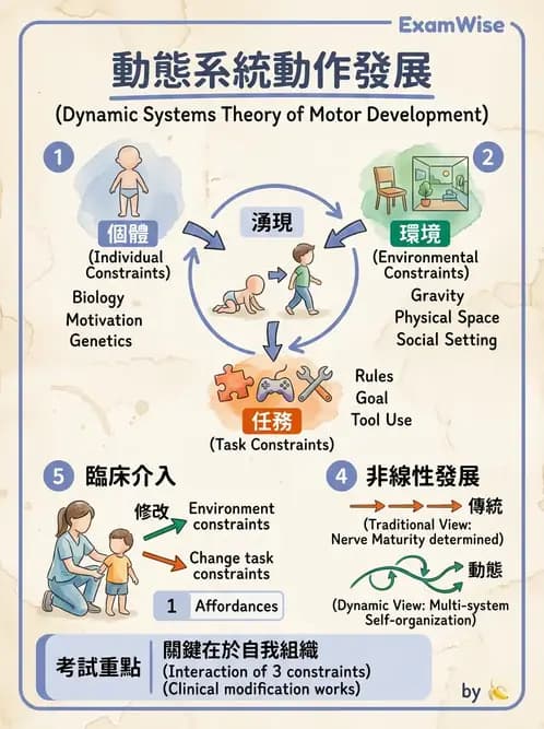 物治 - 小兒物理治療基礎與原理 - AI 圖文解析預覽