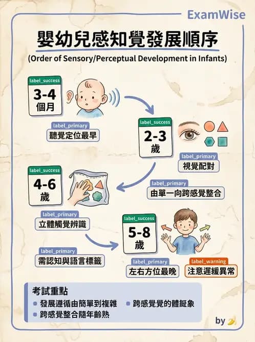 物治 - 兒童發展里程碑(動作與認知) - AI 圖文解析預覽