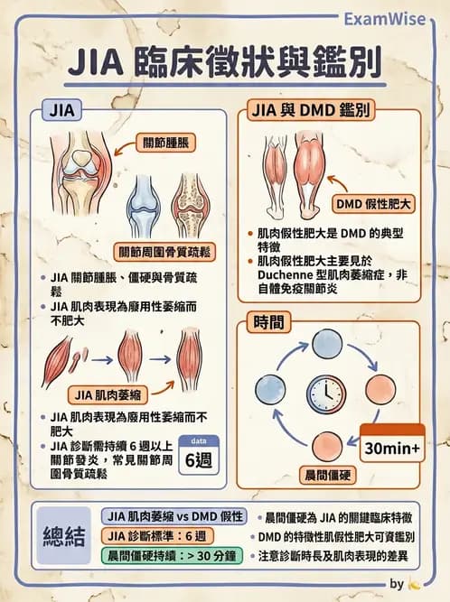 物治 - 小兒肌肉骨骼疾患物理治療 - AI 圖文解析預覽