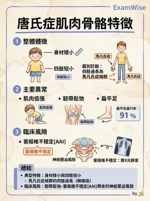 物治 - 智能障礙與基因症候群 - AI 圖文解析預覽