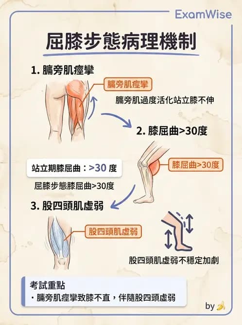 物治 - 腦性麻痺分類、評估與步態 - AI 圖文解析預覽