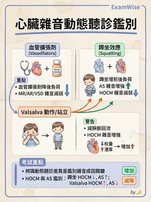 內專 - 瓣膜性心臟病 - AI 圖文解析預覽