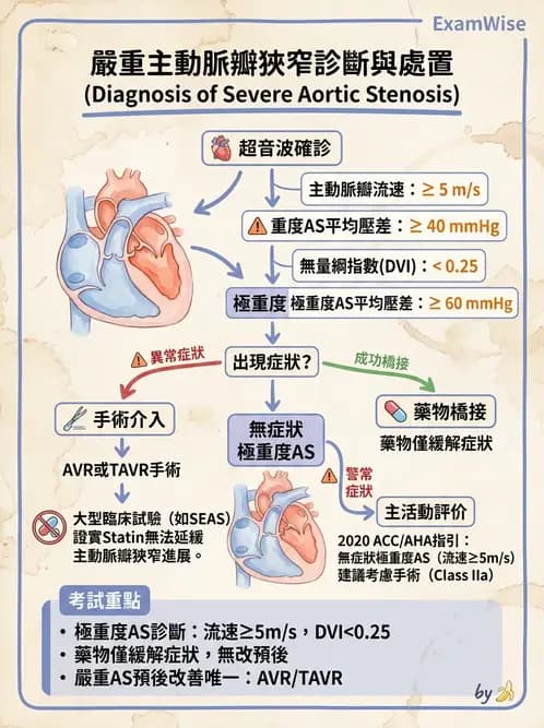 內專 - 瓣膜性心臟病 - AI 圖文解析預覽