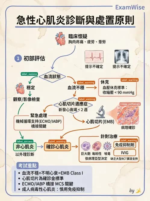內專 - 心肌病變 - AI 圖文解析預覽