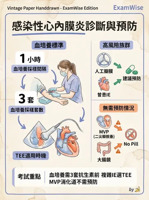 內專 - 心內膜炎與心包膜疾病 - AI 圖文解析預覽