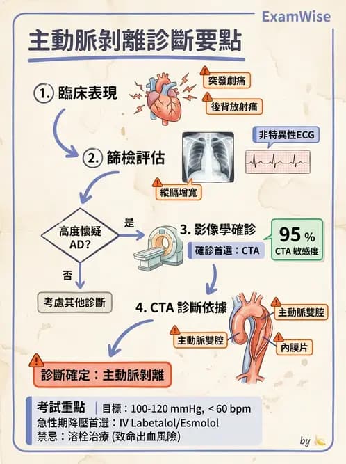 內專 - 主動脈與周邊血管疾病 - AI 圖文解析預覽