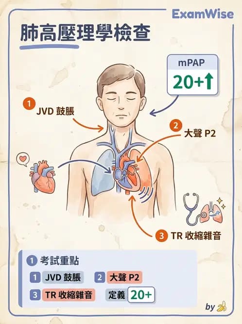 內專 - 肺血管疾病 - AI 圖文解析預覽