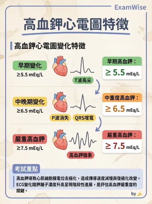 內專 - 電解質異常 - AI 圖文解析預覽