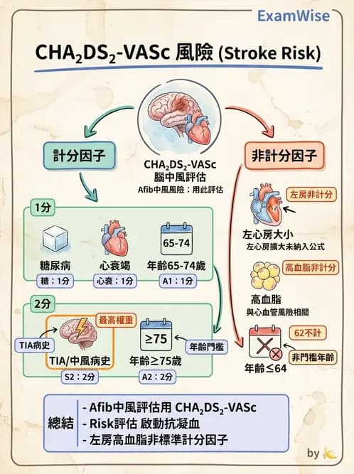 內專 - 心房顫動與上心室心律不整 - AI 圖文解析預覽