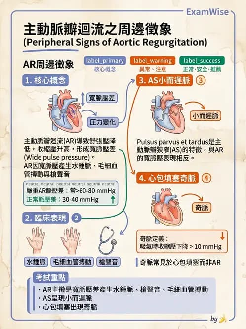 內專 - 瓣膜性心臟病 - AI 圖文解析預覽