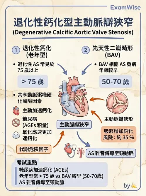 內專 - 瓣膜性心臟病 - AI 圖文解析預覽