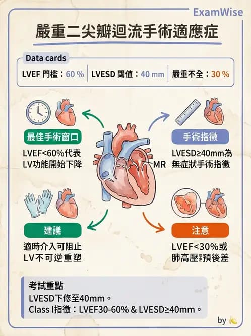 內專 - 瓣膜性心臟病 - AI 圖文解析預覽