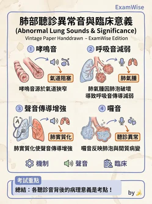 內專 - 肺功能檢查與支氣管擴張 - AI 圖文解析預覽