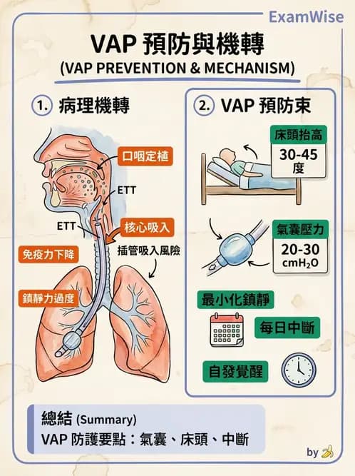 內專 - ARDS 與重症照護 - AI 圖文解析預覽