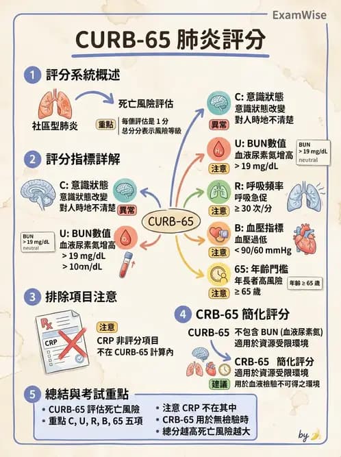 內專 - 社區性肺炎 - AI 圖文解析預覽