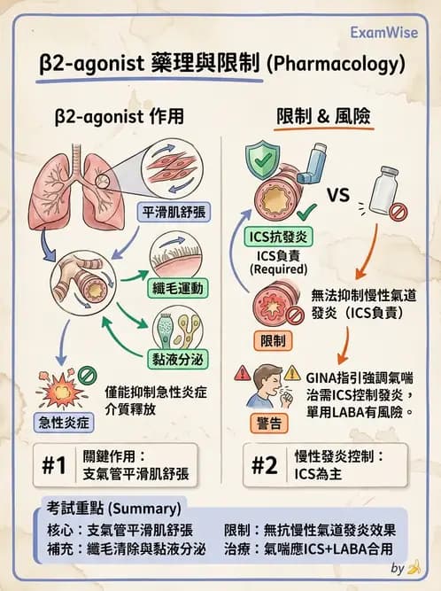 內專 - 氣喘 - AI 圖文解析預覽