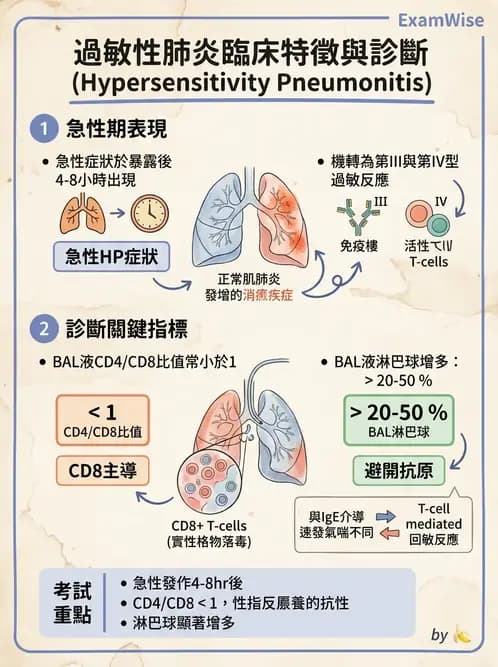 內專 - 間質性肺病與肺纖維化 - AI 圖文解析預覽