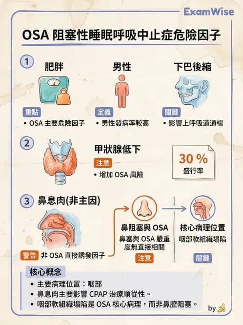 內專 - 呼吸衰竭、非侵襲性呼吸器與睡眠呼吸中止 - AI 圖文解析預覽