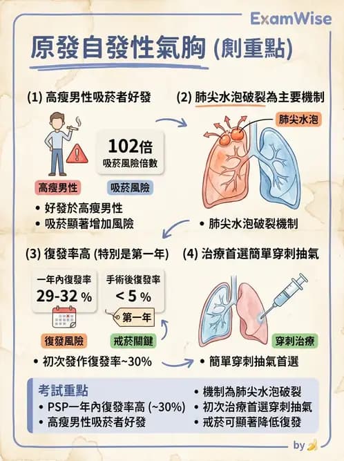 內專 - 肋膜疾病與氣胸 - AI 圖文解析預覽