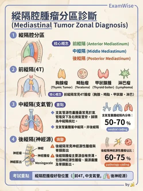 內專 - 肺癌 - AI 圖文解析預覽