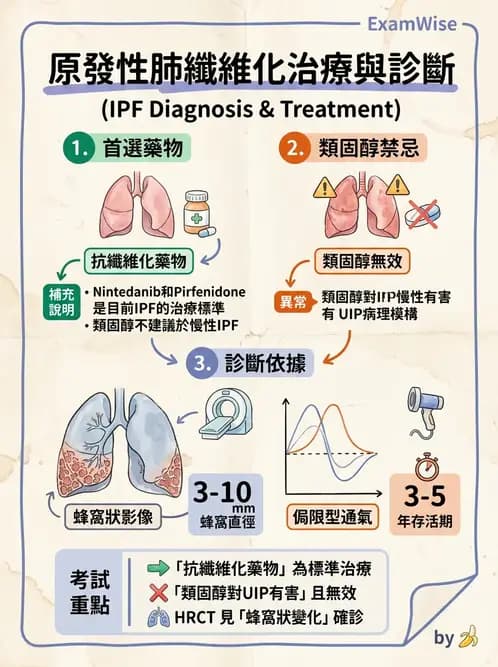 內專 - 間質性肺病與肺纖維化 - AI 圖文解析預覽