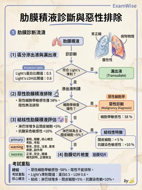 內專 - 肋膜疾病與氣胸 - AI 圖文解析預覽
