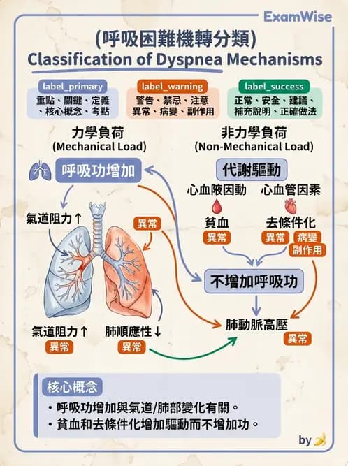 內專 - 肺功能檢查與支氣管擴張 - AI 圖文解析預覽