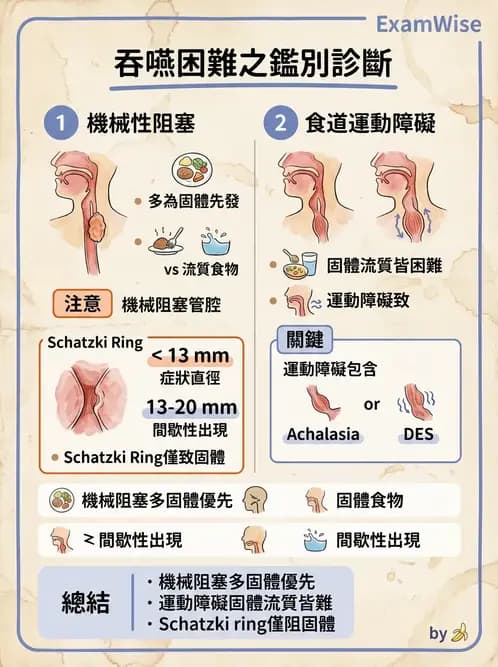 內專 - 食道運動障礙與吞嚥困難 - AI 圖文解析預覽