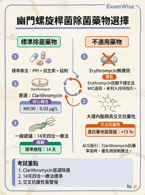內專 - 幽門螺旋桿菌診斷與根除 - AI 圖文解析預覽