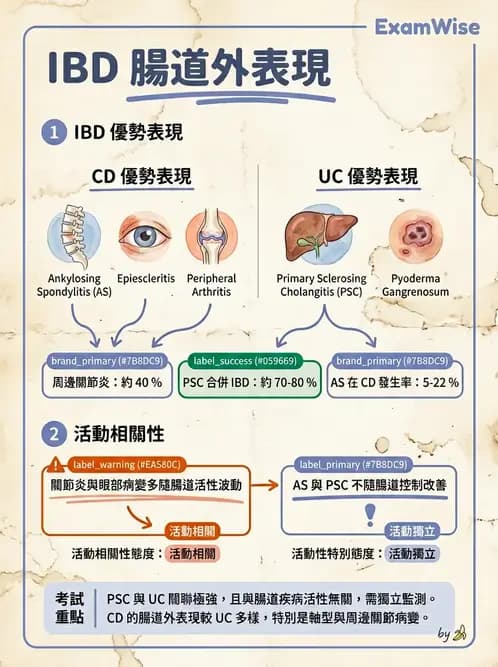 內專 - 發炎性腸道疾病 - AI 圖文解析預覽