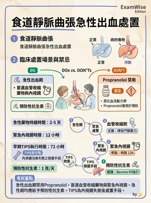 內專 - 肝硬化、肝癌及併發症 - AI 圖文解析預覽
