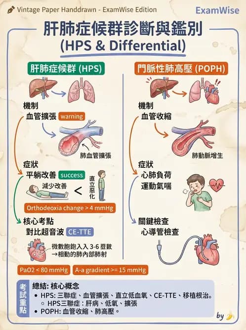內專 - 肝硬化、肝癌及併發症 - AI 圖文解析預覽