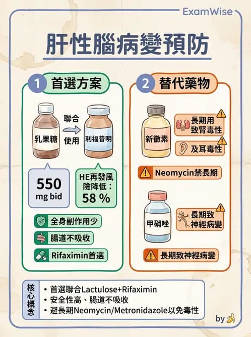 內專 - 肝硬化、肝癌及併發症 - AI 圖文解析預覽