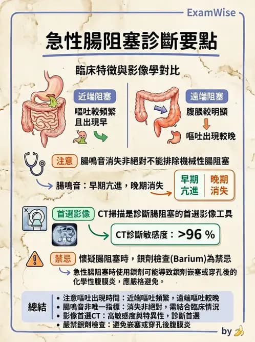 內專 - 腸道阻塞與急性腹症 - AI 圖文解析預覽
