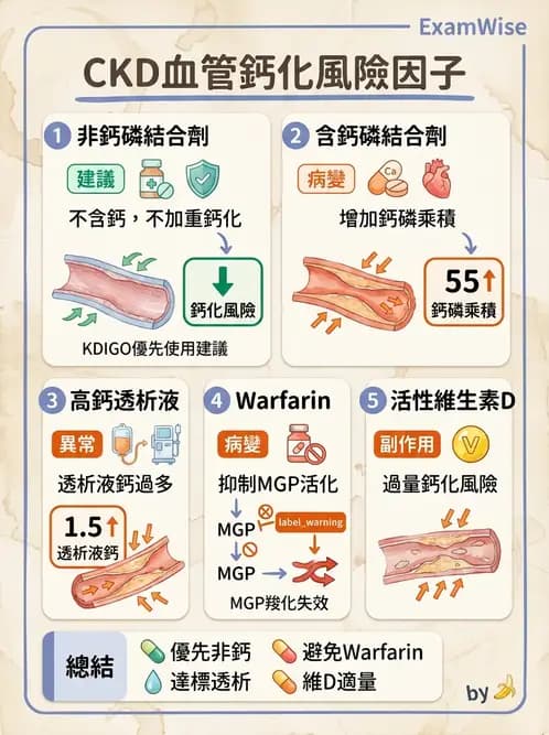 內專 - 慢性腎臟病管理 - AI 圖文解析預覽