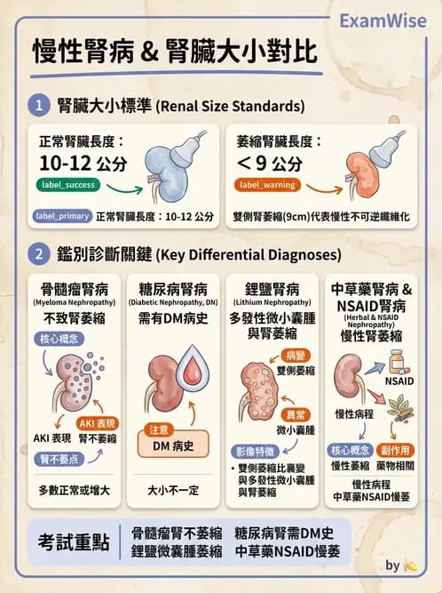 內專 - 慢性腎臟病管理 - AI 圖文解析預覽